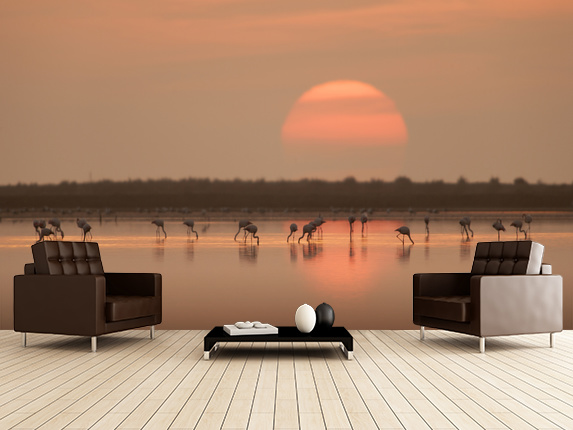 Flamingos at Sunrise - Điệu tăng-gô dưới ánh mặt trời