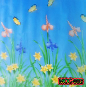 MOC-002