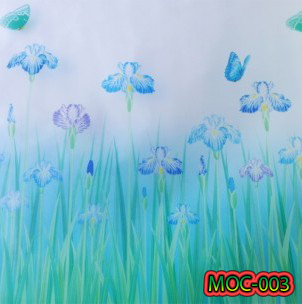 MOC-003