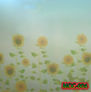 MOC-004