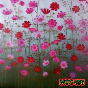 MOC-036
