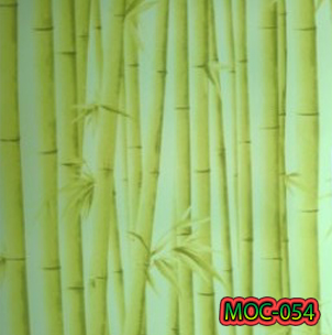 MOC-054